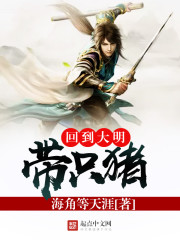 回到大明带只猪封面