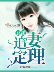 总裁追妻定理封面