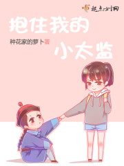 抱住我的小太监封面