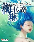 梅琳传奇封面