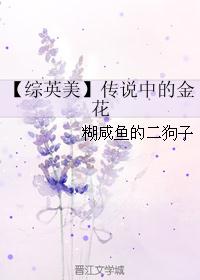 【综英美】传说中的金花封面