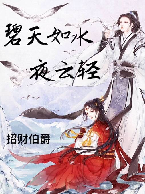 碧天如水夜云轻封面