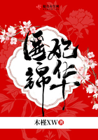 医妃锦华封面
