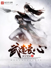 武道凌心封面