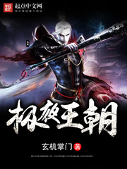 极夜王朝封面