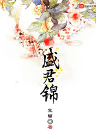 盛君锦封面