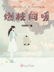 应是燃枝向暖封面