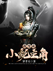 我成为小说主角封面