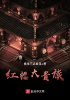 红楼大贵族封面