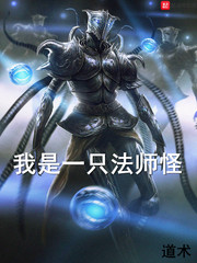 我是一只法师怪封面