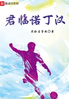 君临诺丁汉封面
