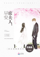 席夫人又在闹离婚全文免费阅读封面
