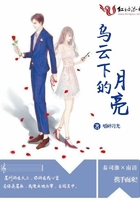 乌云下的田野封面