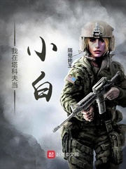 我在塔科夫当小白封面