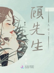 顾先生太会了封面