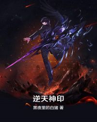 逆天神印封面