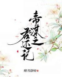 帝谋之君还记封面