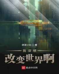 我没想改变世界啊封面
