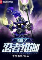 木叶之忍者维迦封面