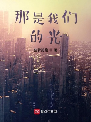 那是我们的光封面