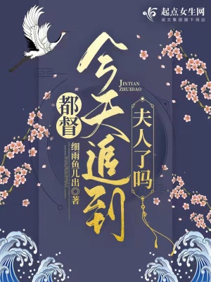 都督今天追到夫人了吗封面