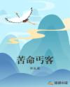 苦命丐客封面