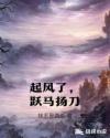 起风了，跃马扬刀封面
