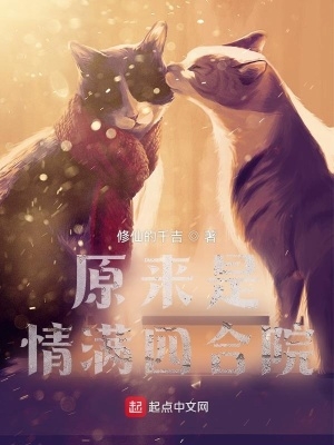 原来是情满四合院封面