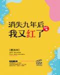 消失九年后我又红了封面