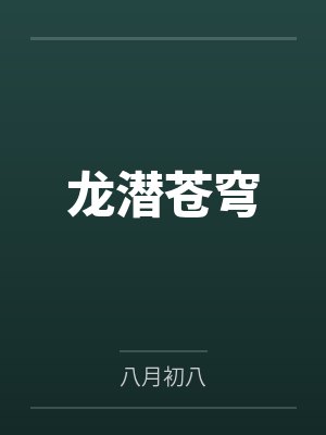 龙潜苍穹封面
