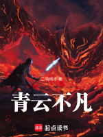 青云不凡封面