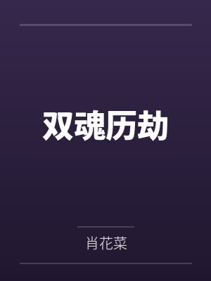 双魂历劫封面