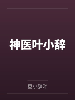 神医叶小辞封面