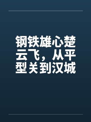 钢铁雄心楚云飞，从平型关到汉城封面