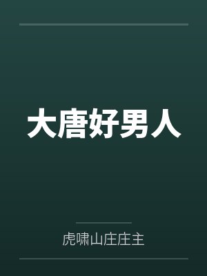 大唐好男人封面