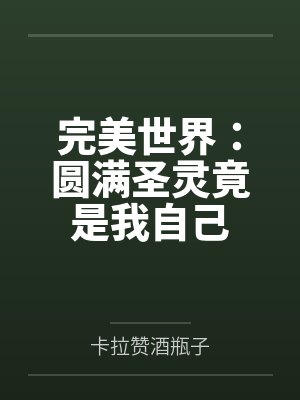 完美世界：圆满圣灵竟是我自己封面