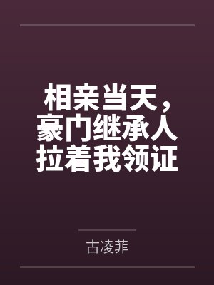 相亲当天，豪门继承人拉着我领证封面