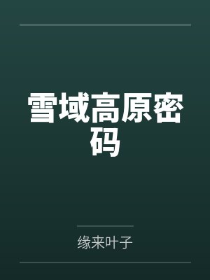 雪域高原密码封面
