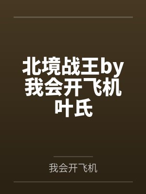 北境战王by我会开飞机叶氏封面