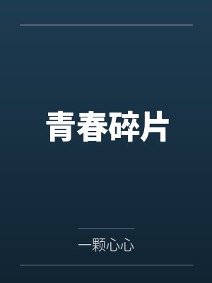 青春碎片封面