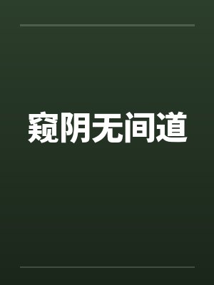 窥阴无间道封面