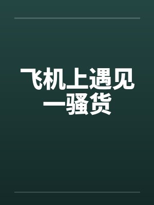 飞机上遇见一骚货封面