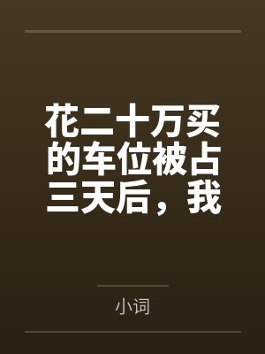 花二十万买的车位被占三天后，我顺手送走了整栋楼的主任封面