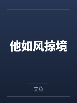 他如风掠境封面